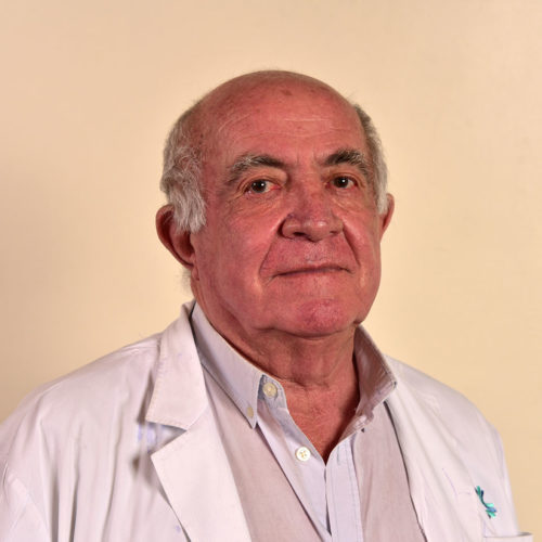 Dr. Daniel Niño Gómez